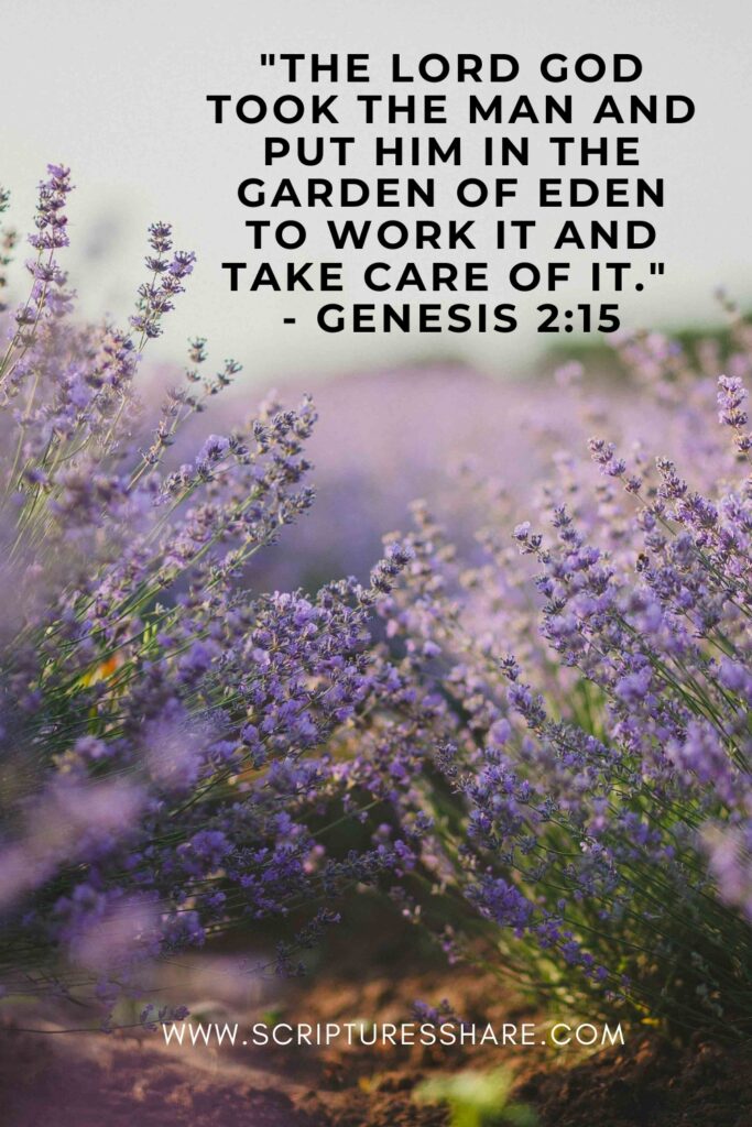 - Genesis 215