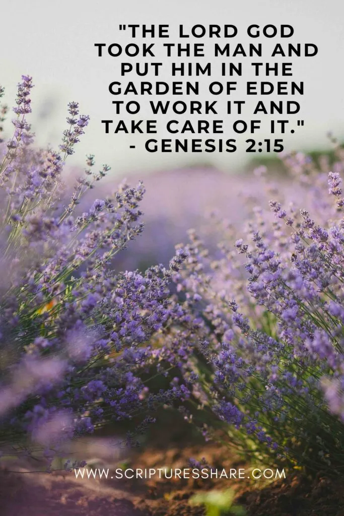 - Genesis 215