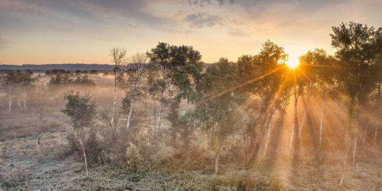 Morning Prayer for Joyful New Possibilities and Fresh Blessings (1)