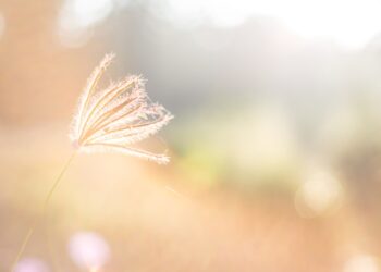 Powerful Morning Prayer to Start the Day Without Fear and Doubt