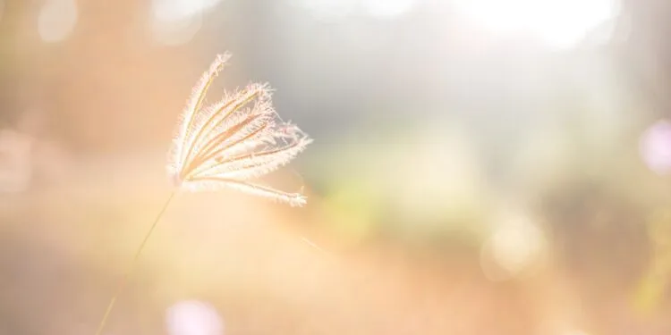 Powerful Morning Prayer to Start the Day Without Fear and Doubt