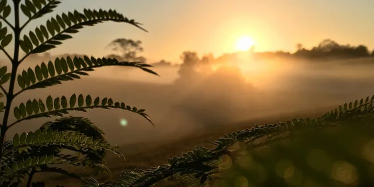 Powerful Night Prayer for Emotional Healing and Inner Peace