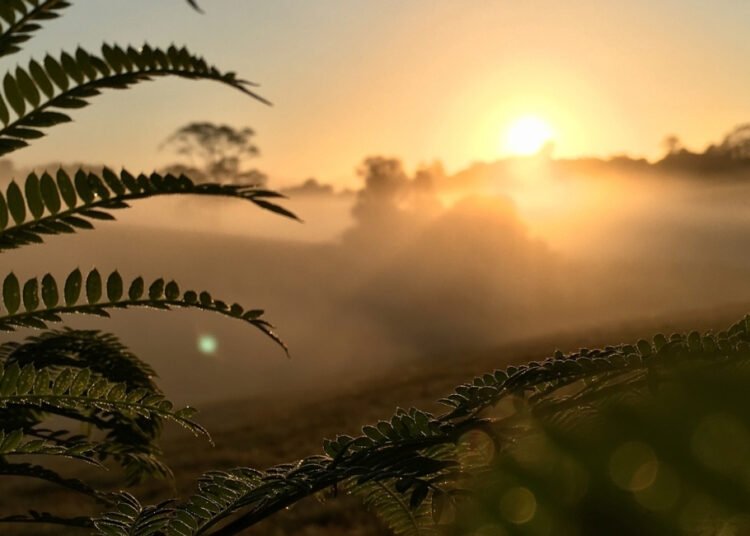 Powerful Night Prayer for Emotional Healing and Inner Peace