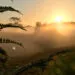 Powerful Night Prayer for Emotional Healing and Inner Peace