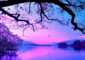 Powerful Prayer for Emotional Healing After a Long Day