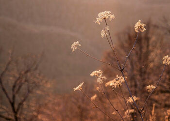 A Beautiful Bedtime Prayer to Forgive Yourself Tonight