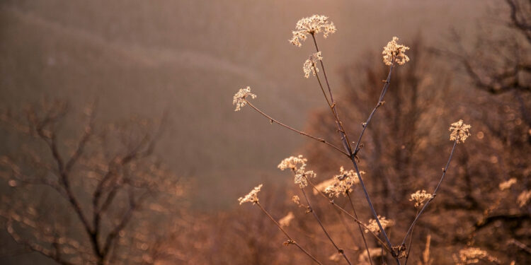 A Beautiful Bedtime Prayer to Forgive Yourself Tonight