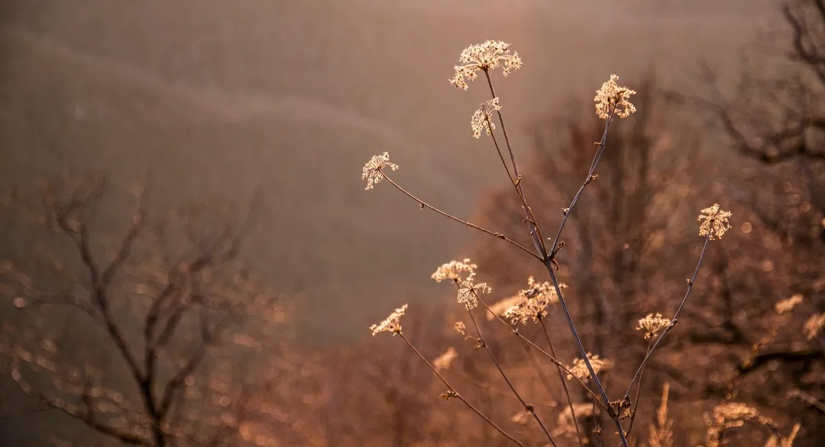 A Beautiful Bedtime Prayer to Forgive Yourself Tonight