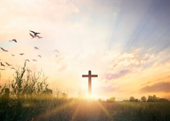 Trusting God’s Plan