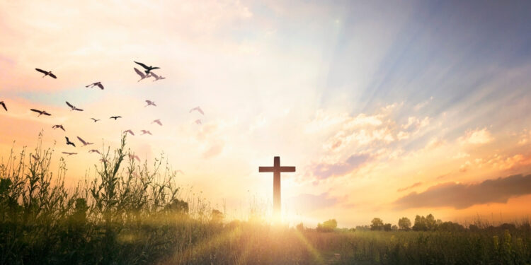 Trusting God’s Plan