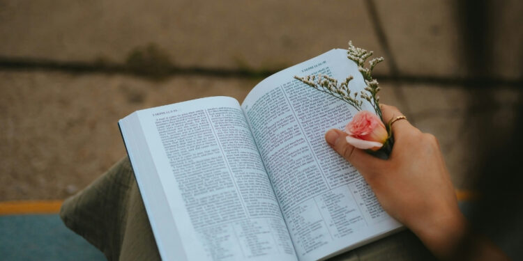 7 Scripture to Calm Anxiety: Your Biblical Peace Guide