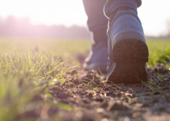 Daily Devotional: Your Guide to Walking by Faith