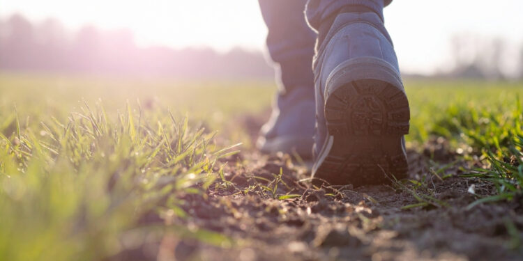 Daily Devotional: Your Guide to Walking by Faith