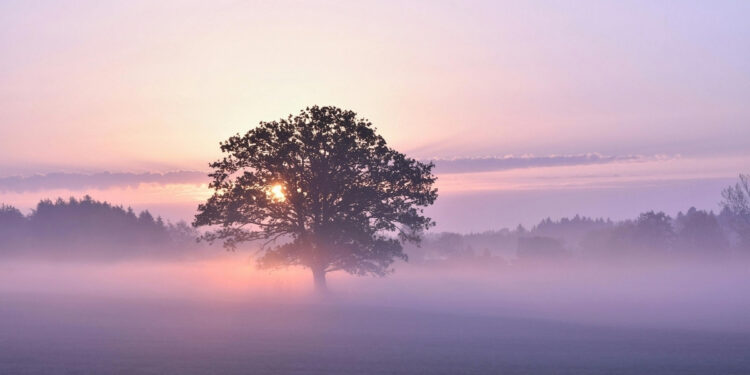 Sunrise Prayer for Trust