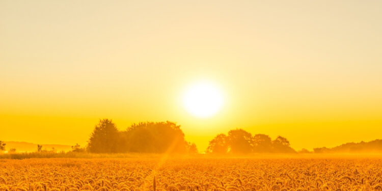 Morning Prayer for a Fresh Start