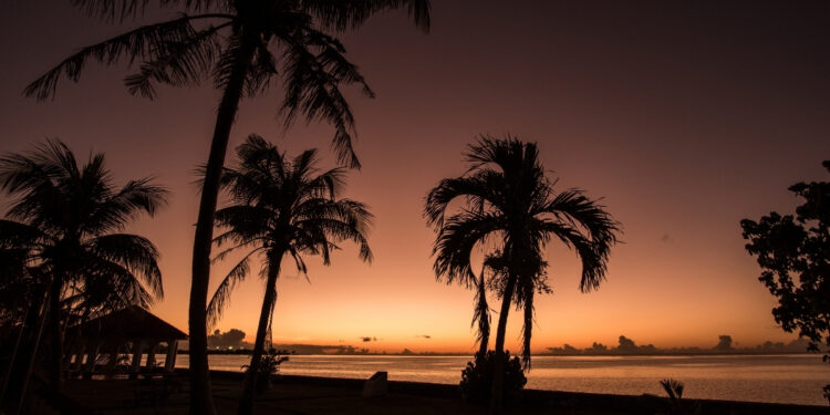 Prayer for a Steady Heart