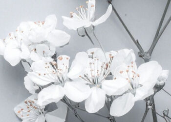 Prayers for Spiritual Growth